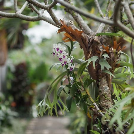 Green Taman Ubud By Prasi Ngoại thất bức ảnh