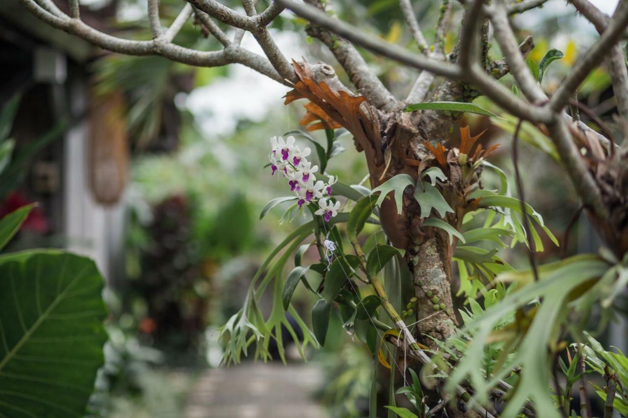 Green Taman Ubud By Prasi Ngoại thất bức ảnh